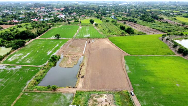 ทุ่งมหาราช รู้จัก