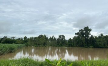 เตือนกษตรกรรับมือฝนตก