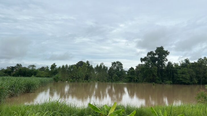 เตือนกษตรกรรับมือฝนตก เตือนกษตรกรรับมือฝนตก