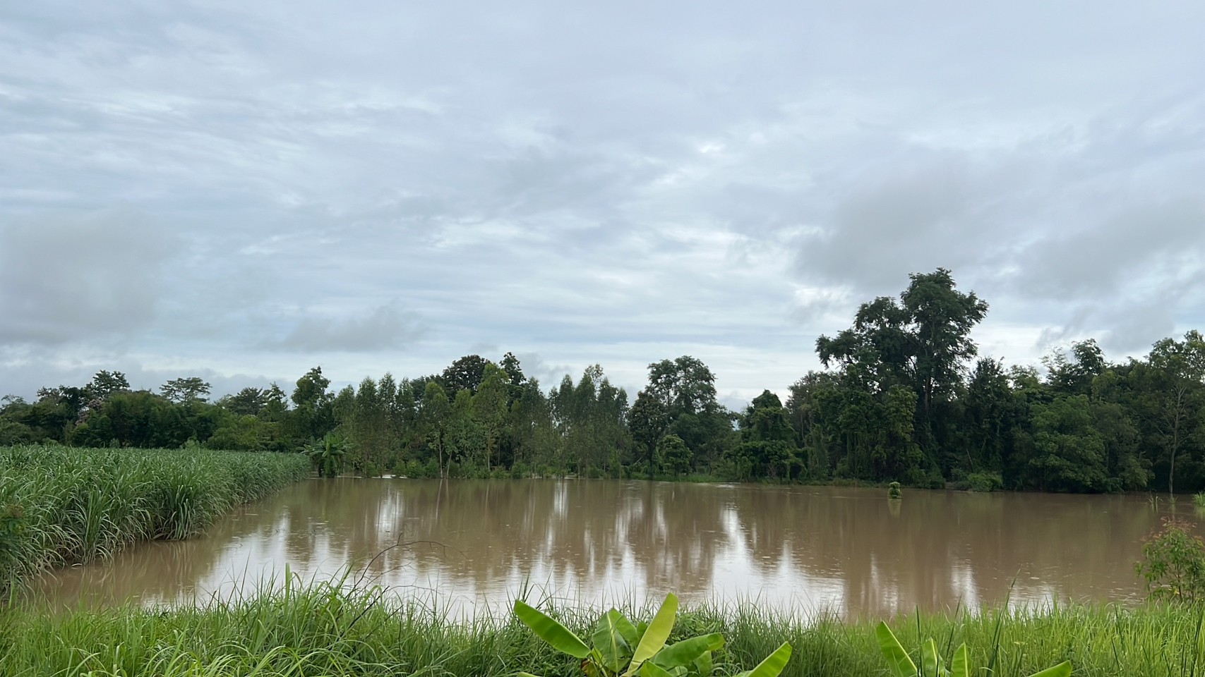 เตือนเกษตรกรเตรียมรับมือฝนตกหนักช่วง 19-25 ก.ย. 66