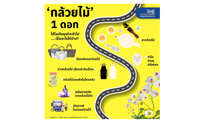 “บริษัท พราวด์ ออร์คิด(ไทยแลนด์) จำกัด” ผู้นำความภูมิใจสู่วงการกล้วยไม้ไทย