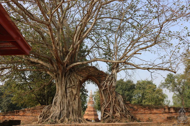 วัดพระงาม