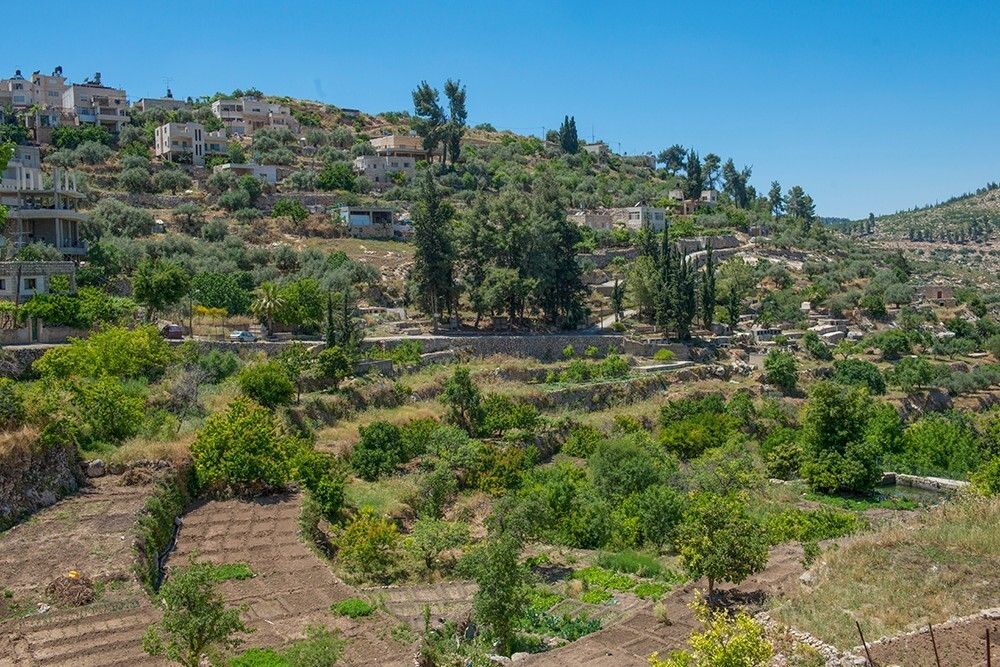 Palestine: Land of Olives and Vines – Cultural Landscape of Southern Jerusalem, Battir