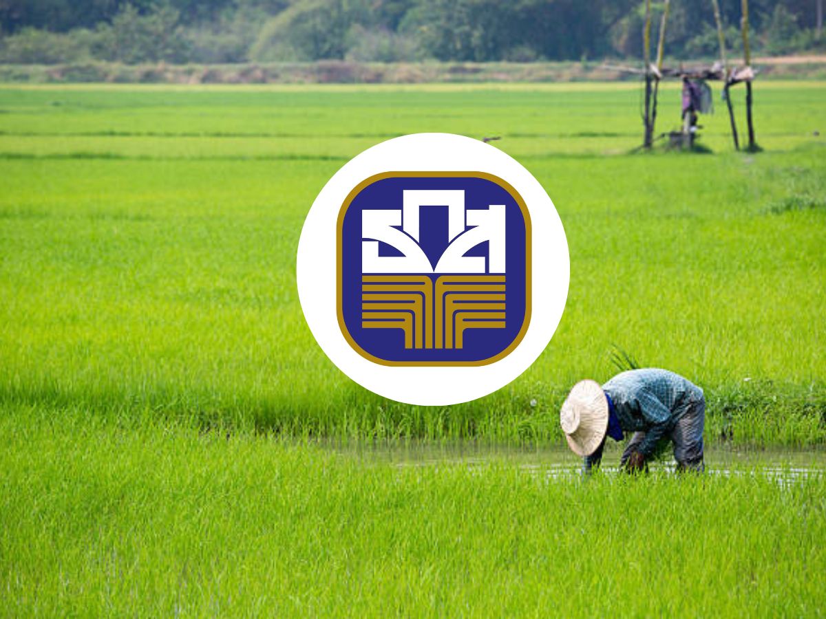ธ.ก.ส. โอนเงินไร่ละพัน เข้าบัญชีเกษตรกรกว่า 1.3 หมื่นครัวเรือน วันนี้ (1 มี.ค.)