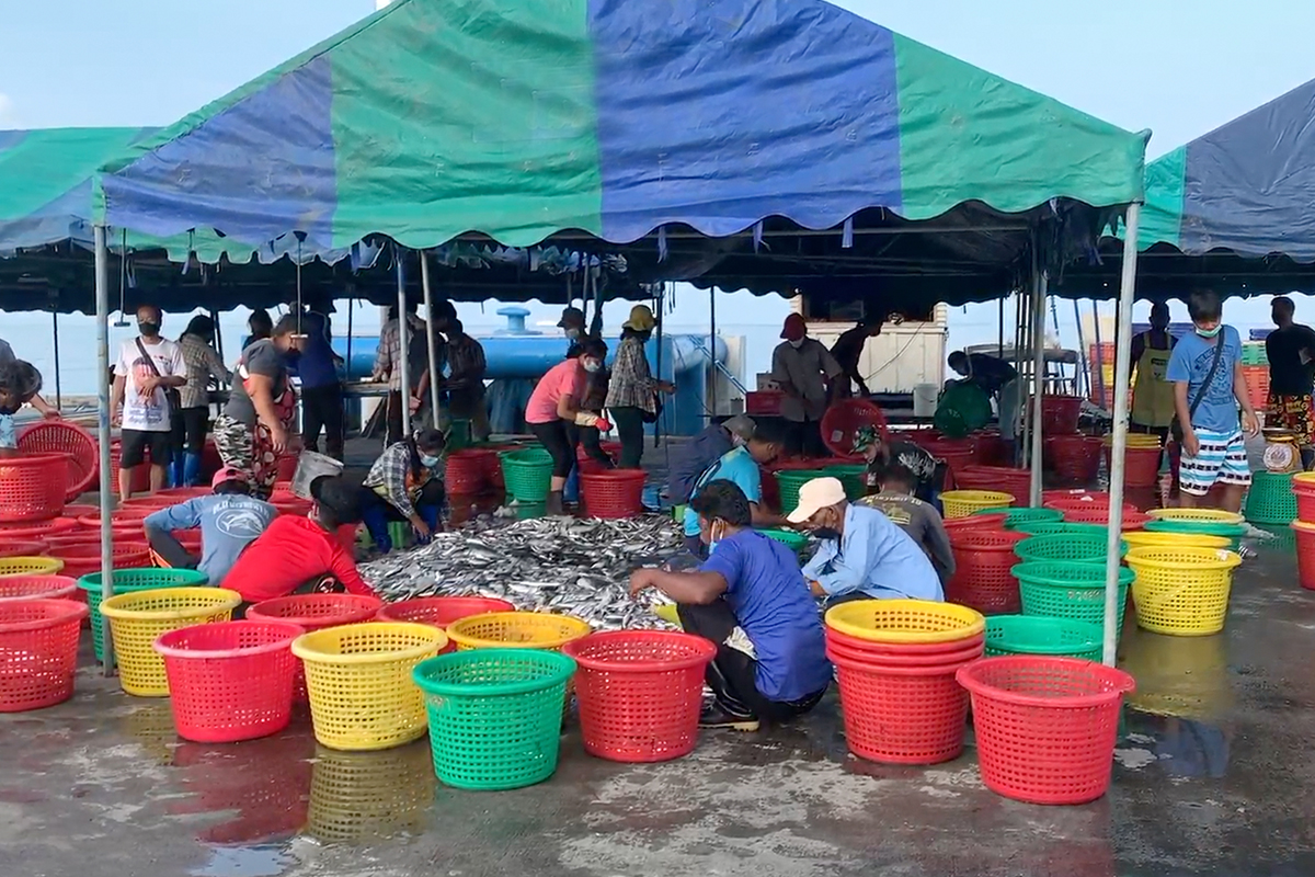 รัฐเร่งฟื้นประมงไทยสู่เบอร์ 1 ผ่อนคลายเงื่อนไข-คุมเข้มวัตถุดิบนำเข้า