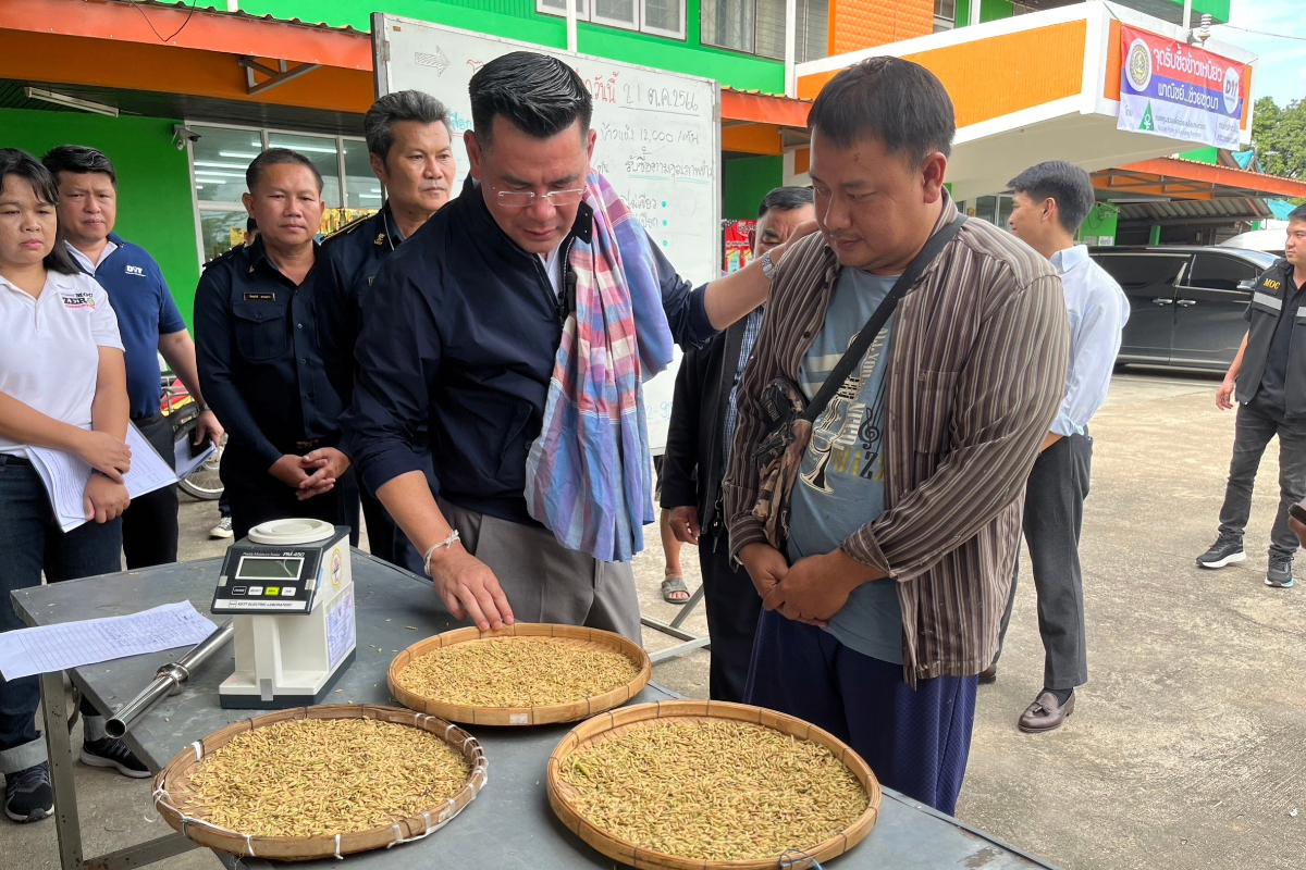 พาณิชย์เปิด 16 จุดภาคเหนือ เพิ่มช่องทางรับซื้อข้าวเหนียว หวังดันราคา