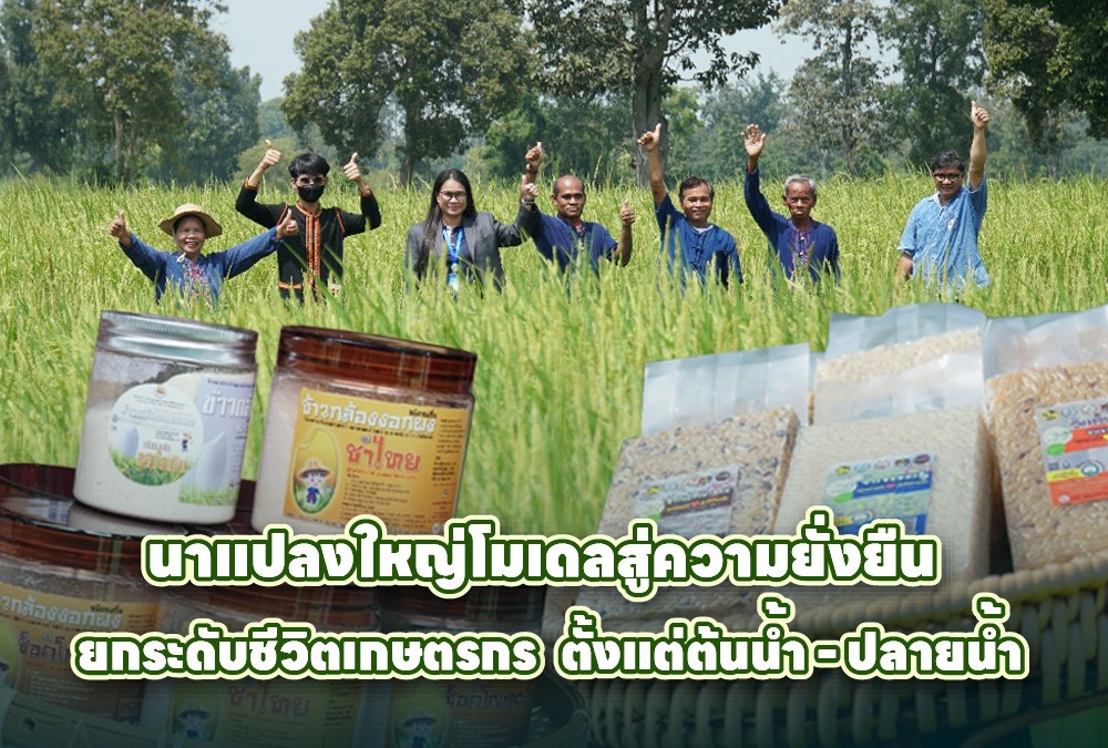 นาแปลงใหญ่ โมเดลสู่ความยั่งยืนยกระดับชีวิตเกษตรกร ตั้งแต่ต้นน้ำ-ปลายน้ำ