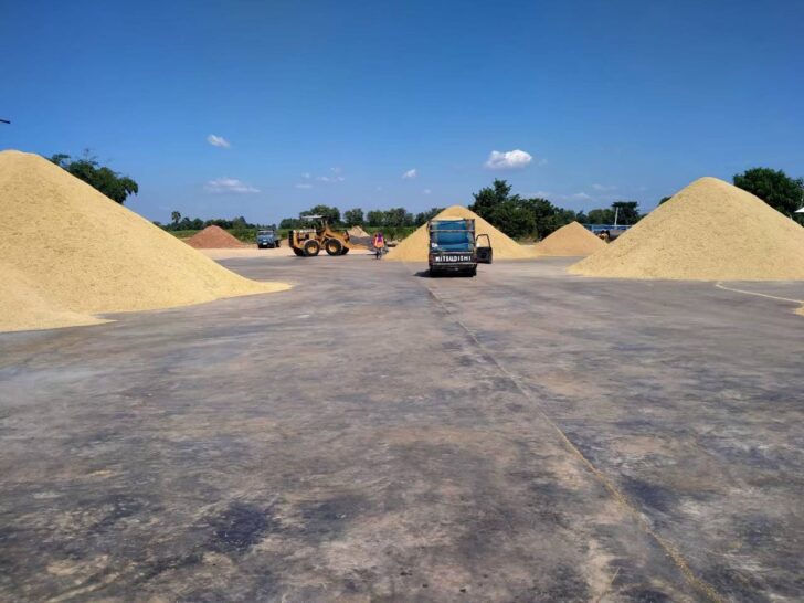 พาณิชย์ ตรวจเข้ม ขนย้าย-รับซื้อข้าว พาณิชย์ ตรวจเข้ม ขนย้าย-รับซื้อข้าว