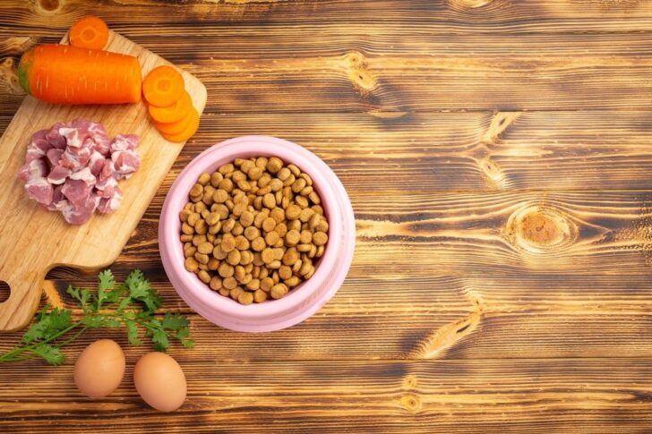 EU-Pet food 1 Pet food