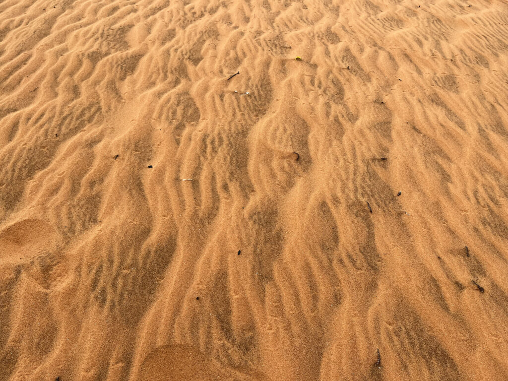 ทะเลทรายแดง-Red Sand Dune