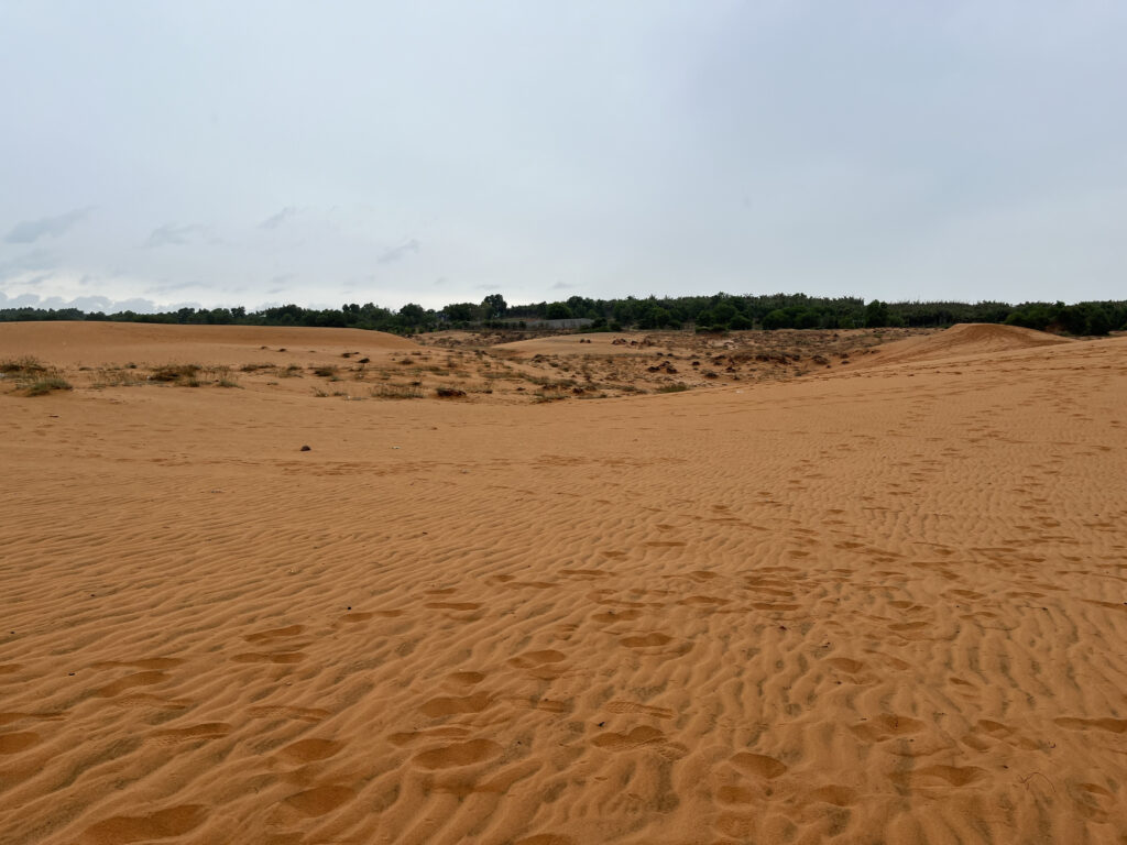 ทะเลทรายแดง-Red Sand Dune