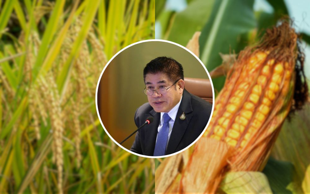 ธรรมนัส หวังแก้ PM 2.5 จากต้นเหตุเผาพื้นที่นาข้าว-ข้าวโพด-อ้อย