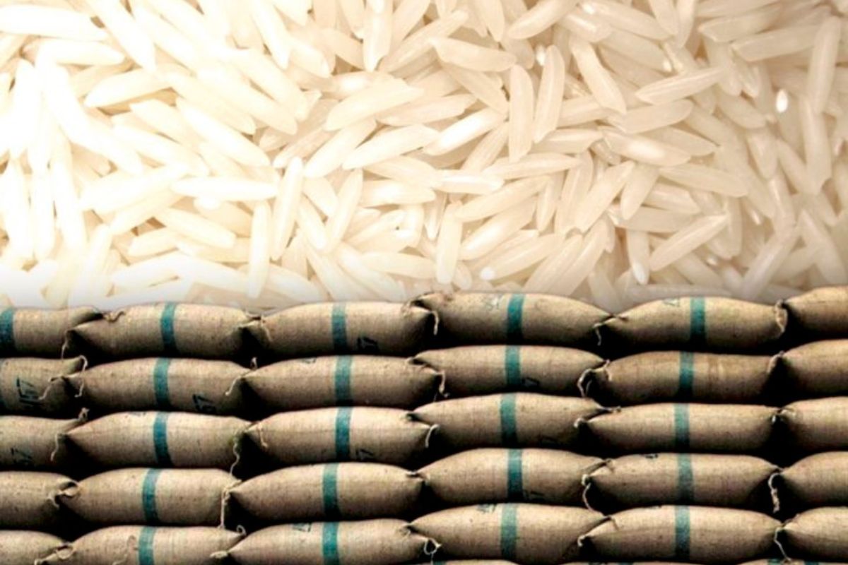 ส่งออกข้าวไทย 2567 เหลือ 7.5 ล้านตัน คาดปริมาณข้าวคู่แข่งออกเยอะ-นำเข้าลด