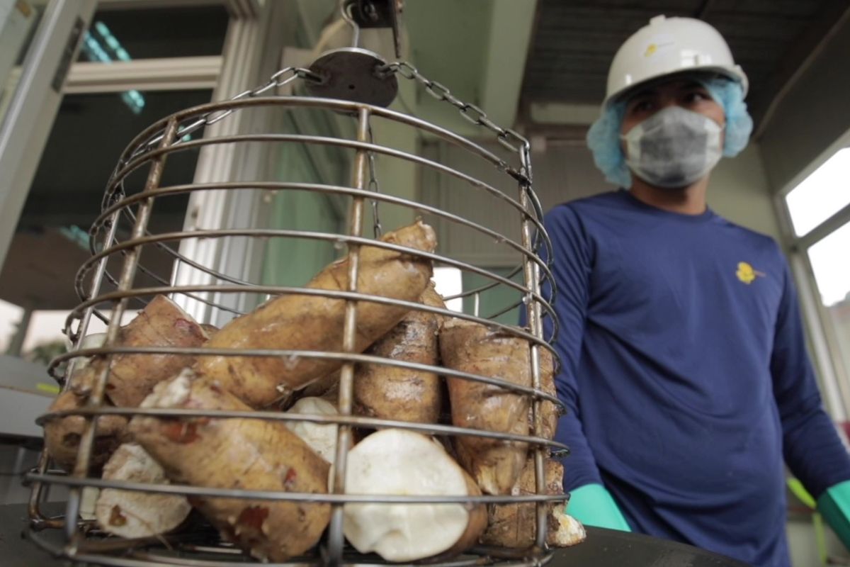 UBE หวั่นเอลนีโญกระทบราคาวัตถุดิบไตรมาส 4 หวังท่องเที่ยวหนุนใช้เอทานอล