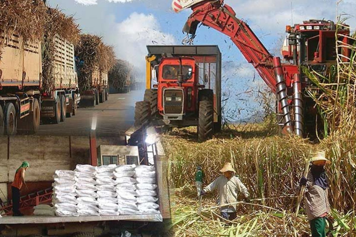 ประชุมคณะทำงาน อ้อย-น้ำตาล นัดแรก ขีดเส้นหาทางออกใน 2 สัปดาห์