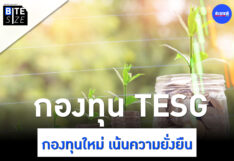 Prachachat BITE SIZE กองทุน TESG