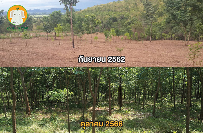 ป่าชุมชนบ้านชัฏหนองยาว จ.สุพรรณบุรี