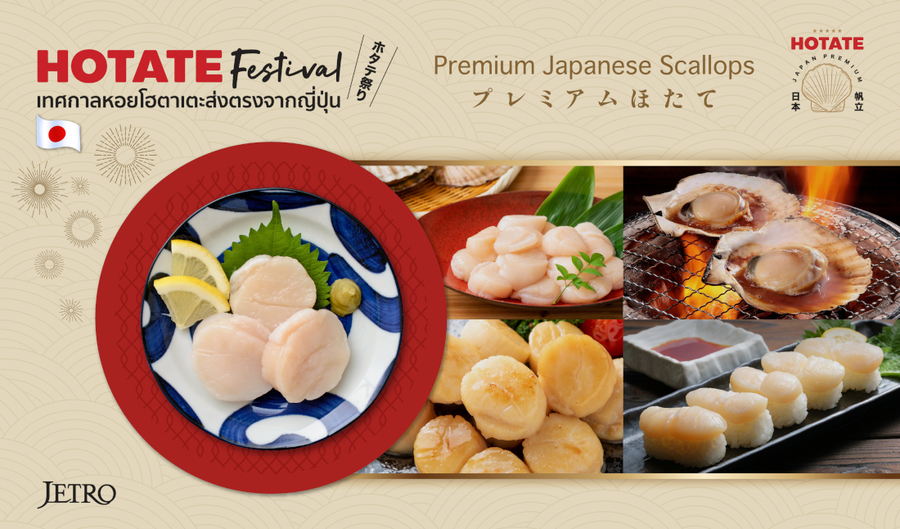 เจโทร รุกนำเข้าไทย ดัน HOTATE Festival ชูหอยโฮตาเตะพรีเมียม