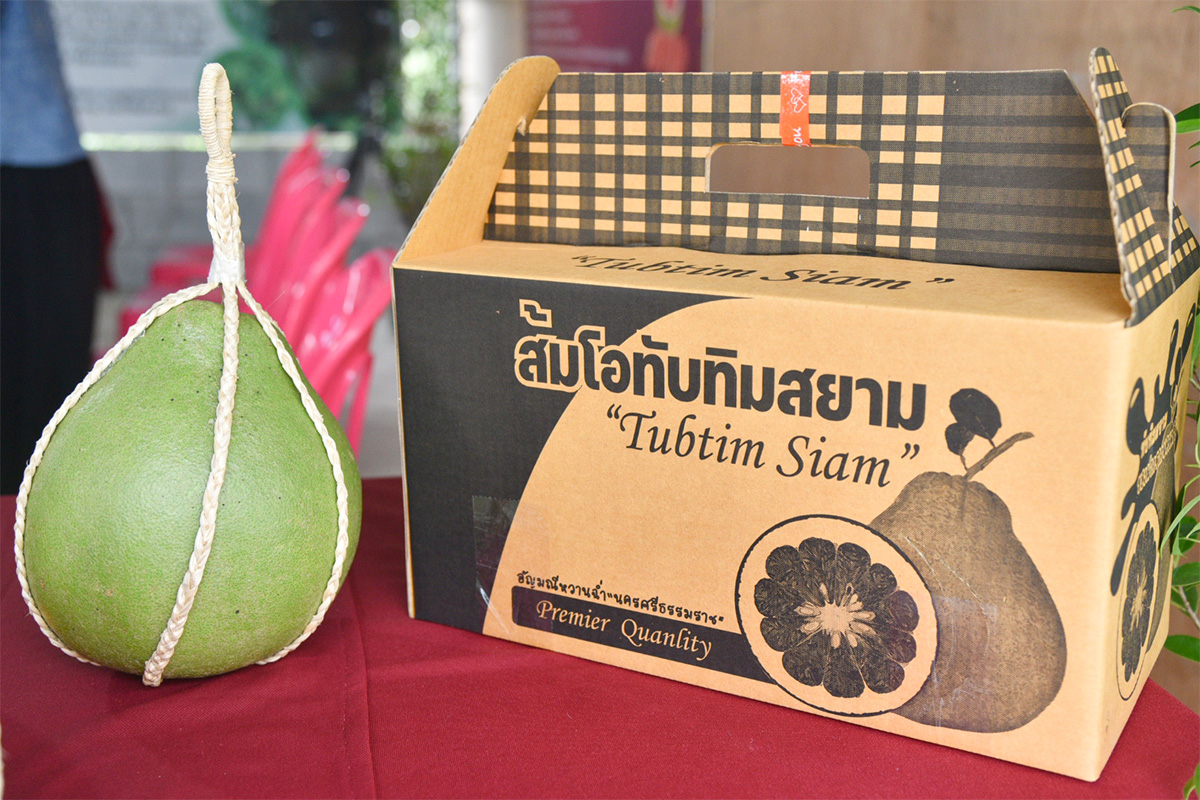 ส้มโอทับทิมสยาม