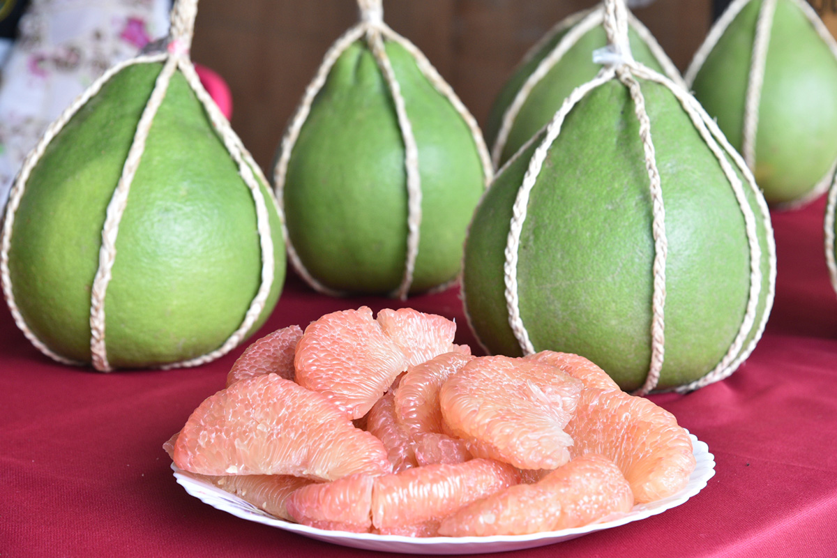 ดัน “ส้มโอทับทิมสยาม” นครศรีธรรมราช ใช้ FTA ส่งออกตลาดจีน-อาเซียน