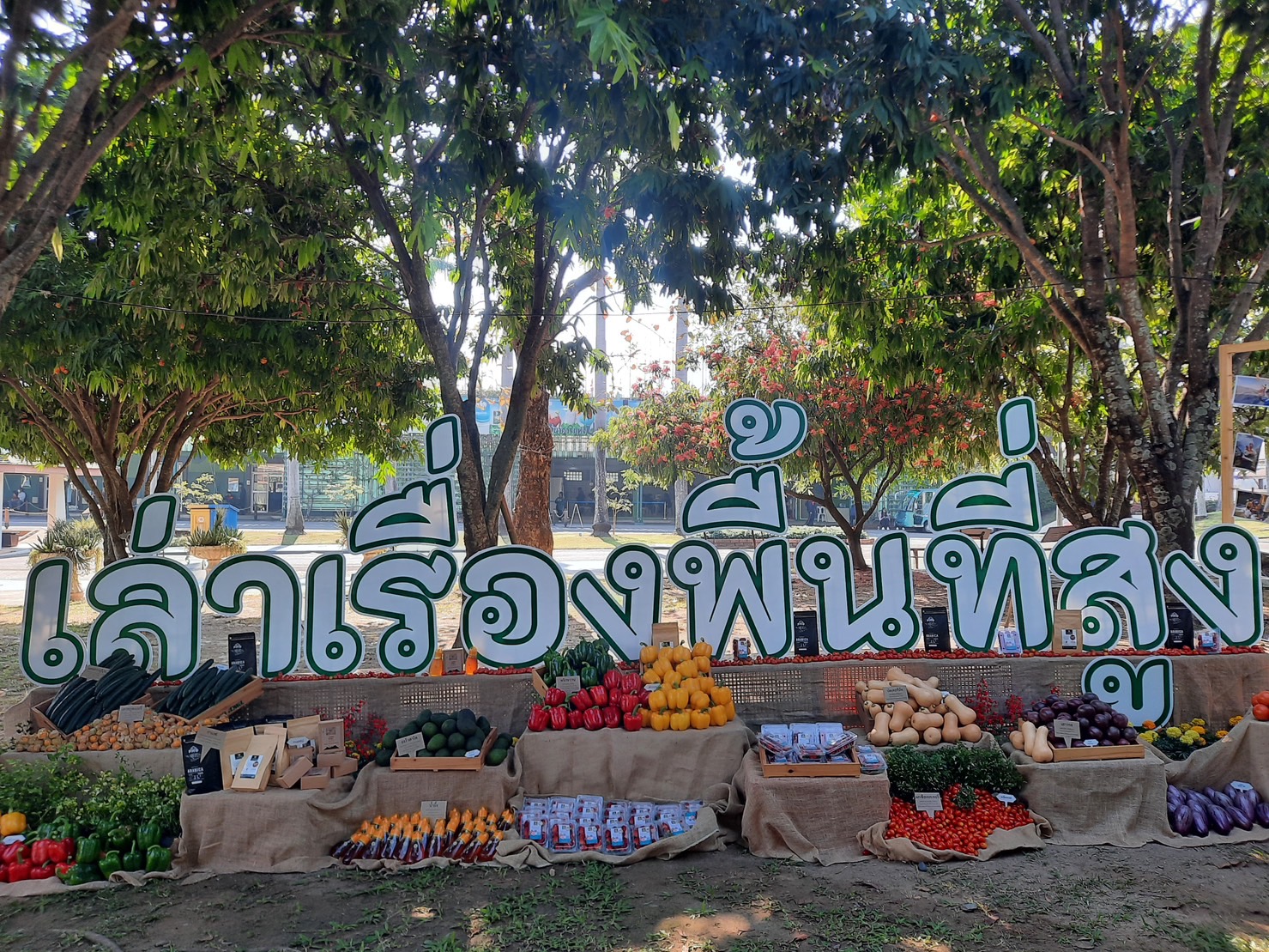 พลิกโฉม “แม่แจ่มแซนด์บ็อกซ์” 5 หมื่นไร่ เปลี่ยนพื้นที่ปลูกข้าวโพดสู่พืชมูลค่าสูง