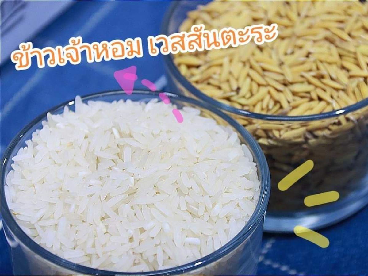 รู้จักข้าวหอม ‘เวสสันตะระ”  ชื่อเก๋ ความหมายดี