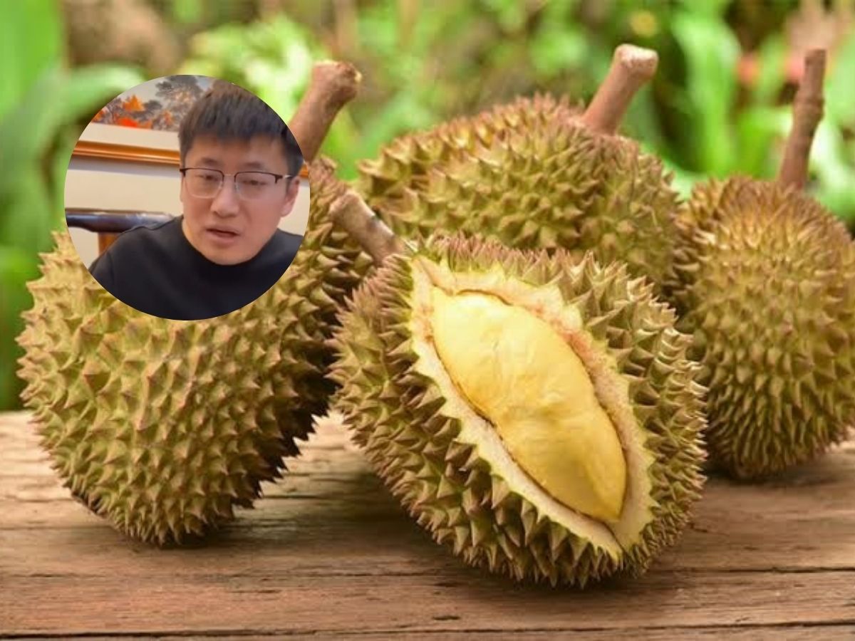 จีนเปิด ”ทุเรียน ทอล์ค” ให้มูซานคิงแซงหมอนทอง-ไทยเร่งส่งออก 11 เดือน 1.38 แสนล้าน