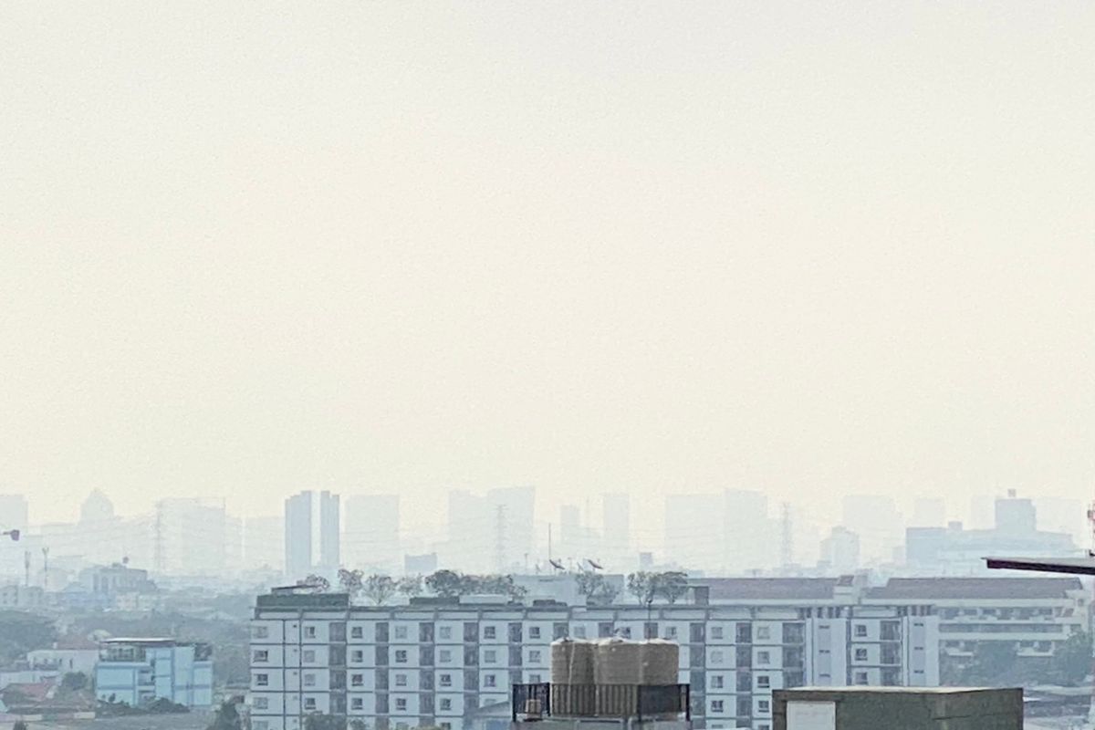 ฝุ่น PM 2.5 วันนี้เกินมาตรฐาน 20 จังหวัด กทม. 48 เขต กระทบสุขภาพ