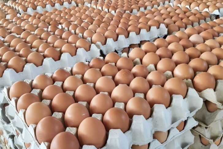 ไขไก่ ไขไก่