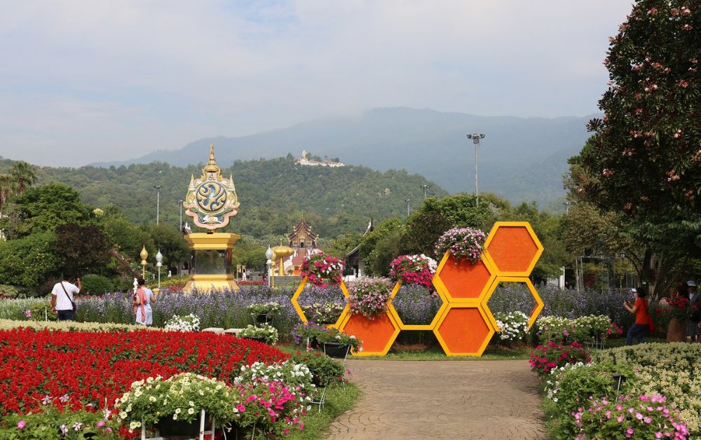 เทศกาลชมสวน 2566 กับพรรณไม้ 18,000 รายการ ที่อุทยานหลวงราชพฤกษ์ เชียงใหม่
