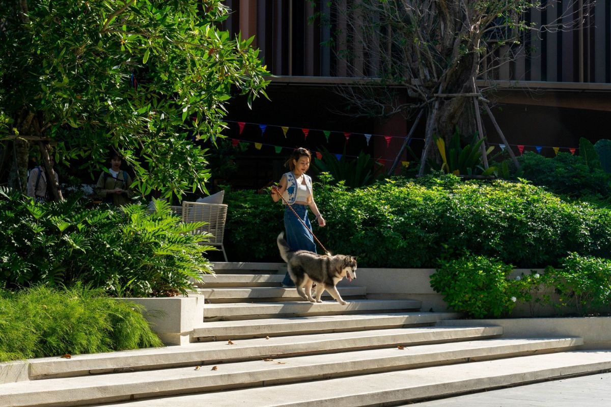 เซ็นทาราเอาใจคนรักสัตว์ เปิดโรงแรม Pet Friendly 4 แห่ง