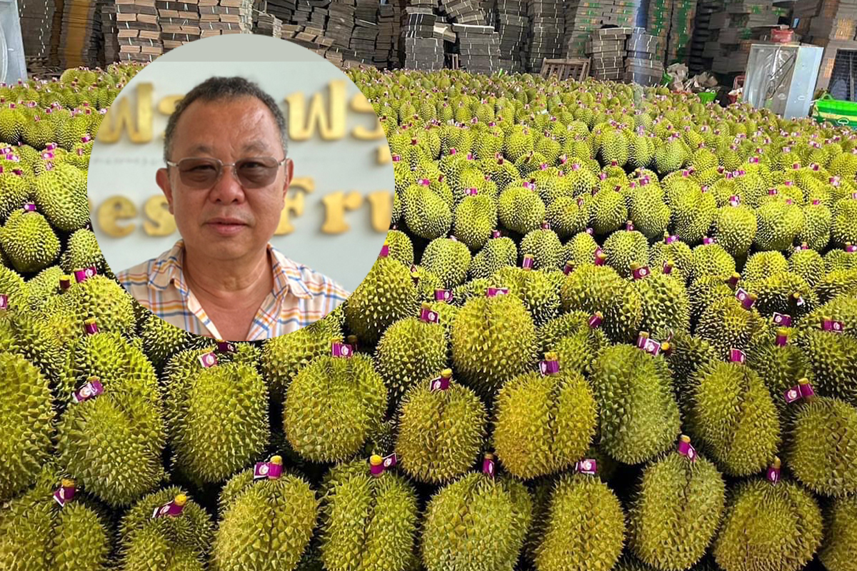 ทุเรียนปี’67 ส่อล้น ชาวสวนแห่ปลูกแทนยางทะลุ 1 ล้านไร่