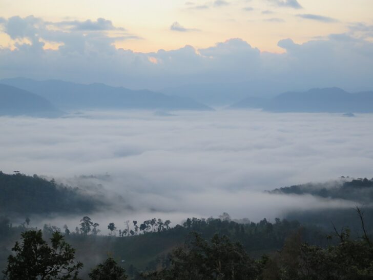 อากาศเย็น-ยอดดอย-ภาพอรพิน อากาศเย็น-ยอดดอย-ทะเลหมอก