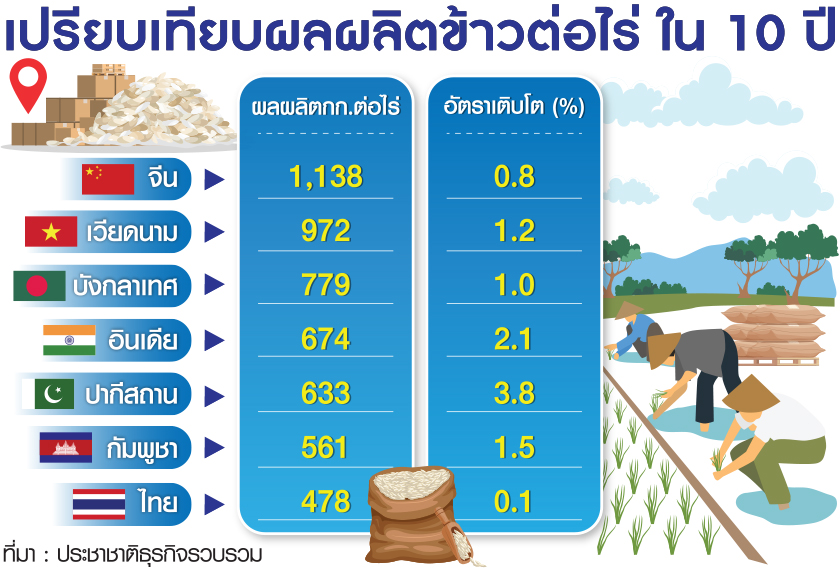 เปรียบเทียบผลผลิตข้าว