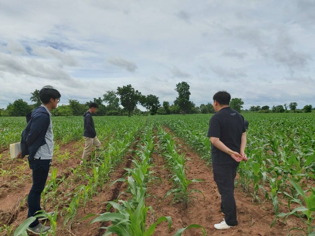 ซีพี