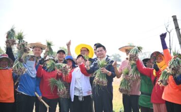 หอมแดงล้นตลาด "ภูมิธรรม" ดึงห้าง-ปั๊มน้ำมันช่วยขาย 6.8 ตัน