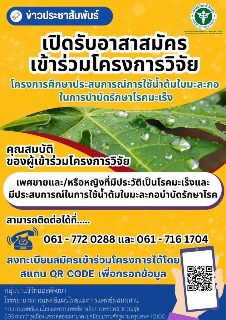 โครงการวิจัยน้ำต้มใบมะละกอสด