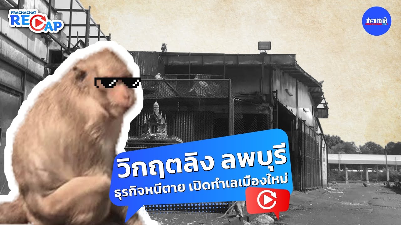 ลพบุรีวิกฤตลิง ย่านเศรษฐกิจร้าง ห้างดังอยู่ลำบาก จี้รัฐแก้