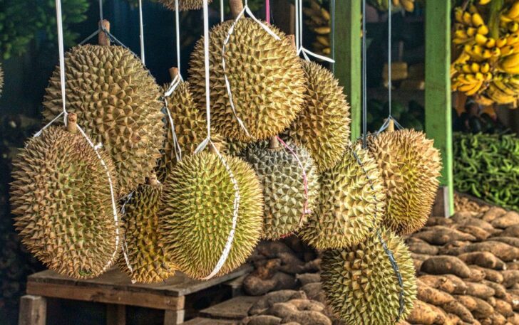ทุเรียน ทุเรียน