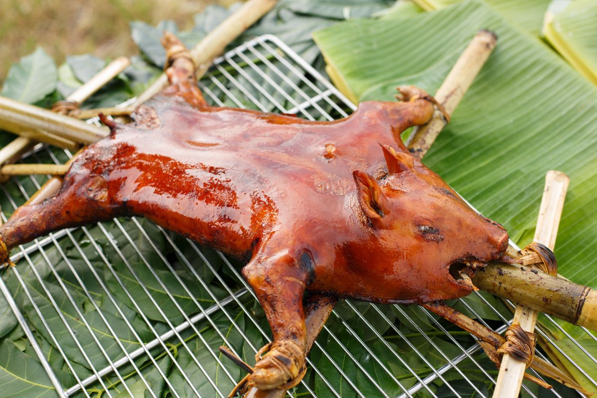 ลุ้นพิกบอร์ดพรุ่งนี้ ไฟเขียวแผนหมูหัน 6 หมื่นตัว อุ้มผู้เลี้ยงฝ่าวิกฤตราคาขึ้นรับตรุษจีน