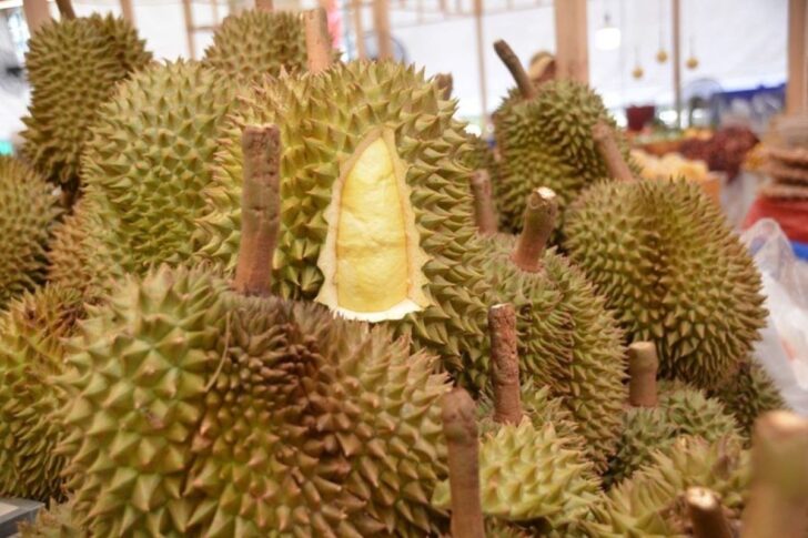 ทุเรียน ทุเรียน