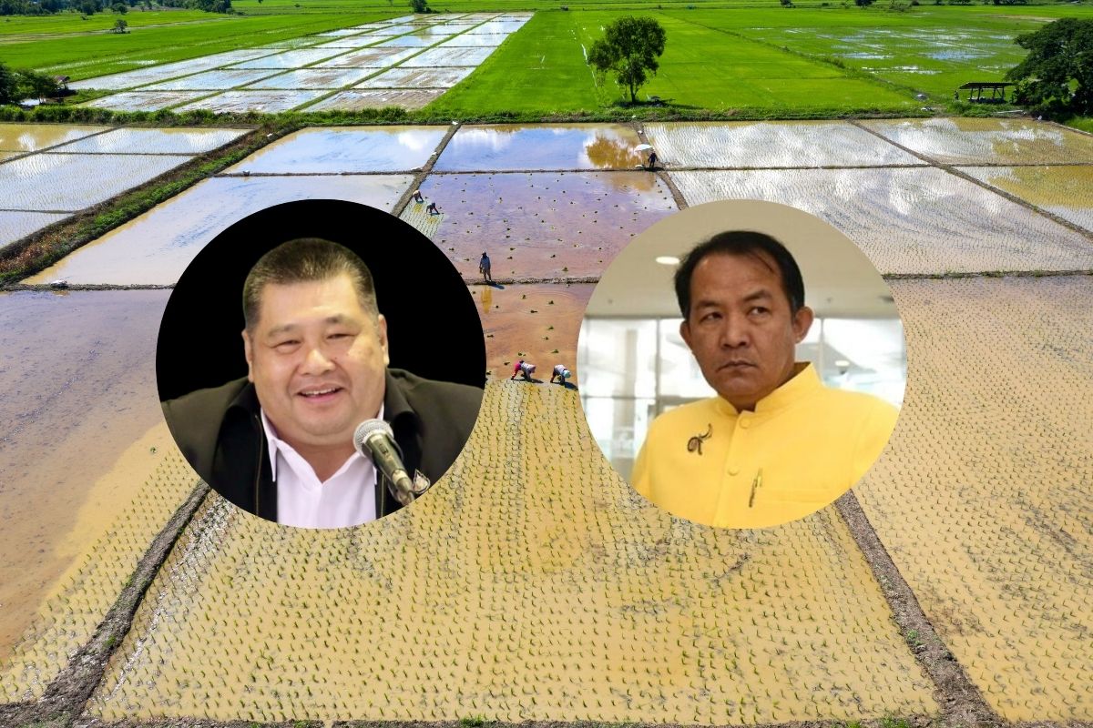 รู้จักโครงการลดต้นทุนปลูกข้าว 1.5 หมื่นล้าน ต้นเหตุปมร้อน “พี่ศรี-อธิบดีกรมการข้าว”