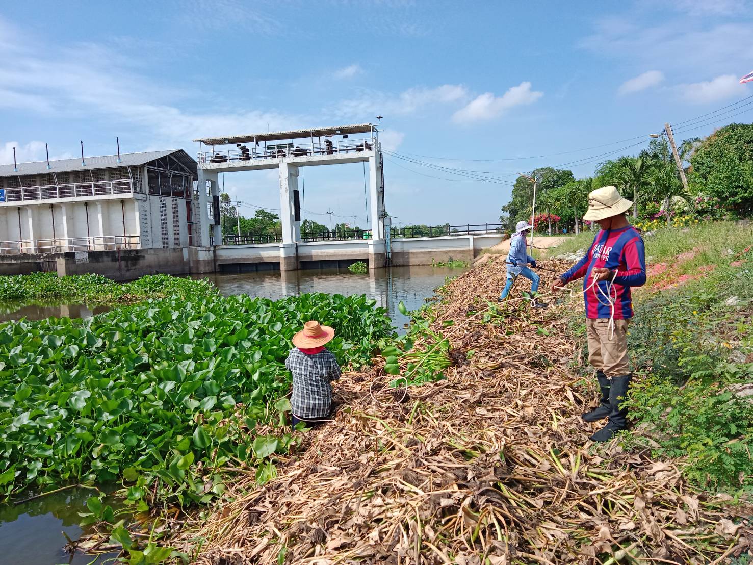 กรมชลประทานอัพเดตแผนจ้างแรงงานรอบใหม่ 2567 เกือบ 1 หมื่นคน คืบหน้ากว่า 70%