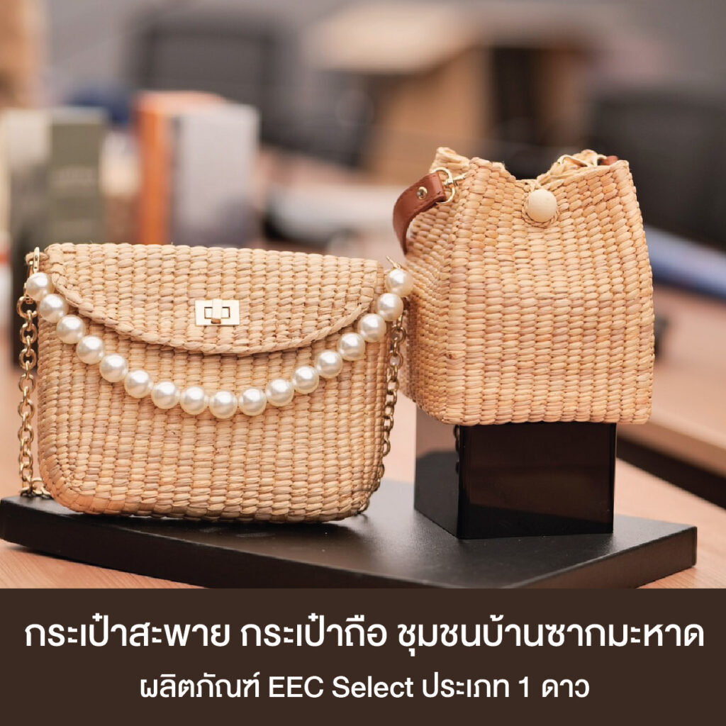กระเป๋าสะพาย