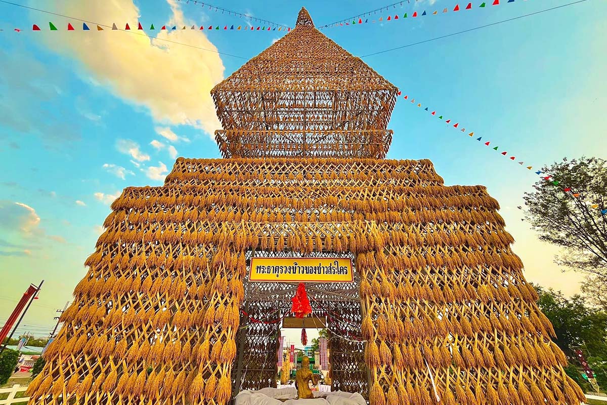 อำเภอสระใคร ฉลอง 30 ปี การันตีแหล่ง “ข้าวหอมมะลิพันธุ์ดี”
