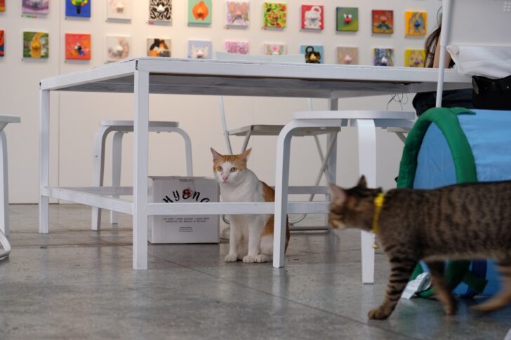 อีเกีย Bangkok Design Week 2024