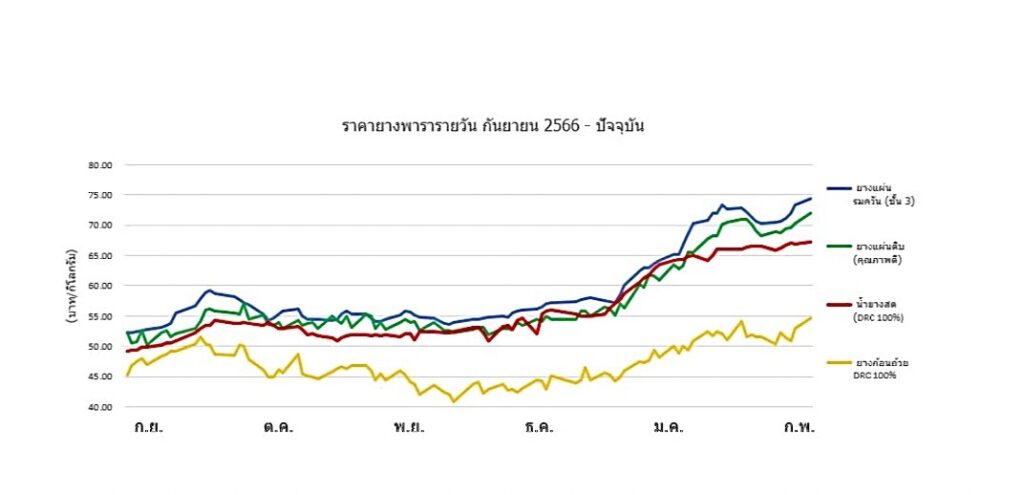 กราฟราคายางพารา