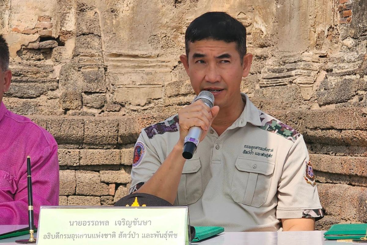 กรมอุทยาน MOU จังหวัด-เทศบาล เตรียม ‘ย้ายลิงลพบุรี’ แก้ปัญหาเศรษฐกิจสังคม