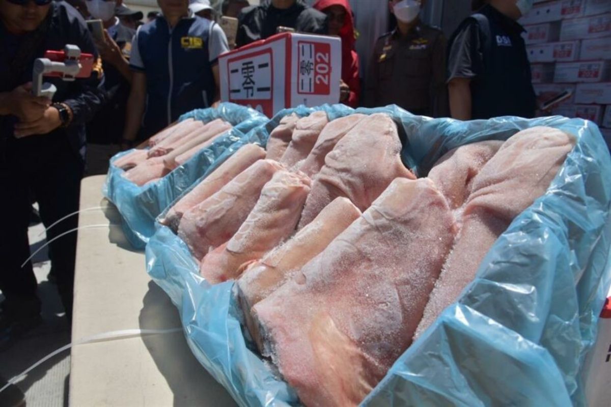 สมาคมหมูเตรียมร้องนายกฯเศรษฐาอีกครั้ง เร่งคดี “หมูเถื่อน” เงียบไปเป็นเดือน