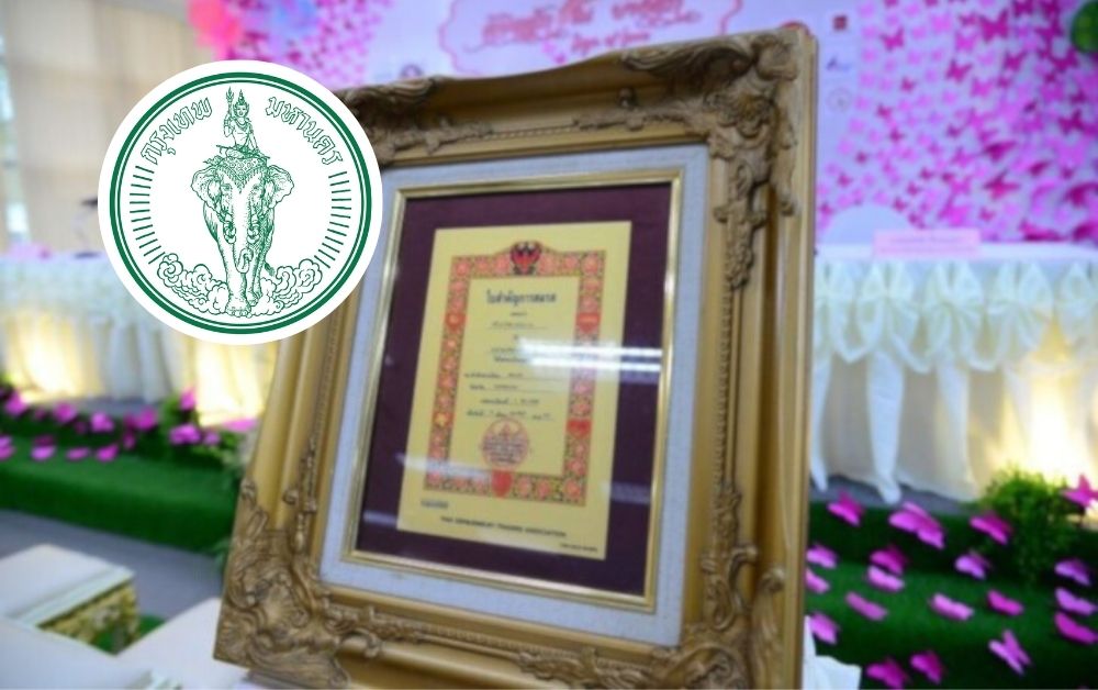 วาเลนไทน์ 2567 จดทะเบียนสมรส 50 เขตกรุงเทพฯ แถมตรวจสุขภาพคู่รัก